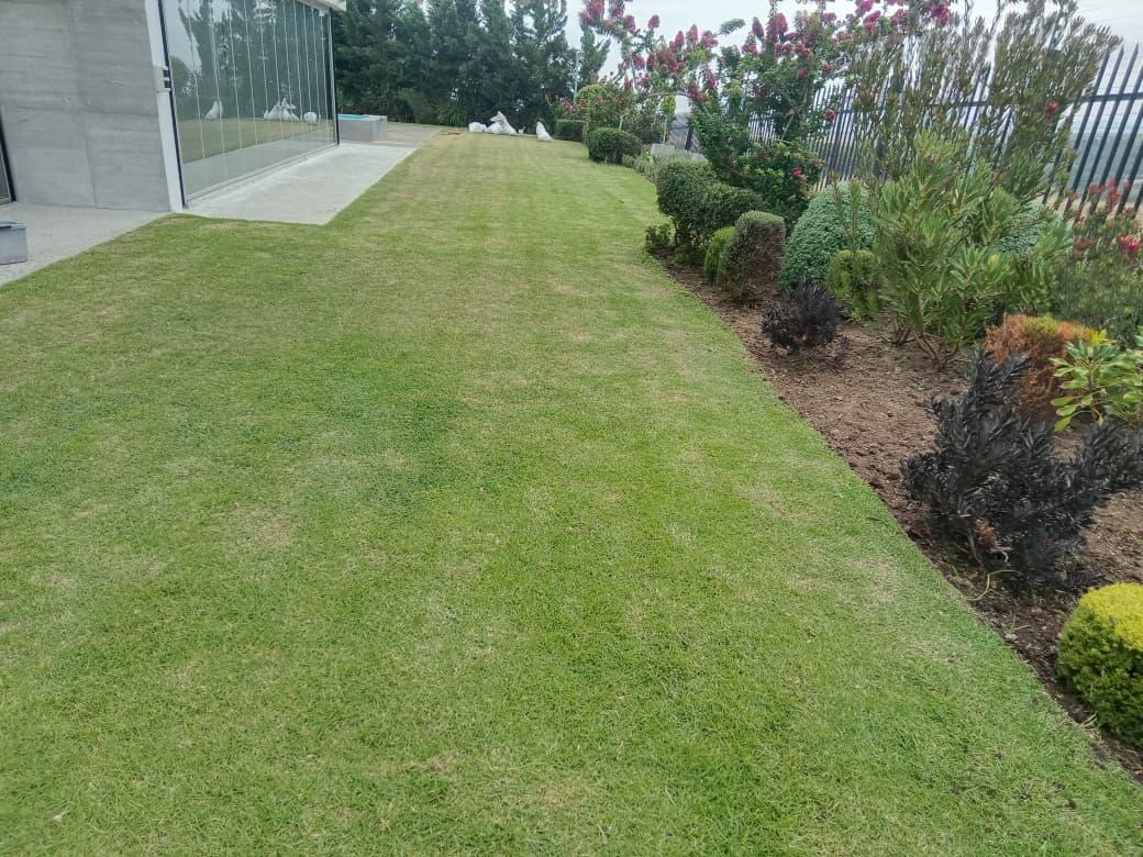 Grass Cutting