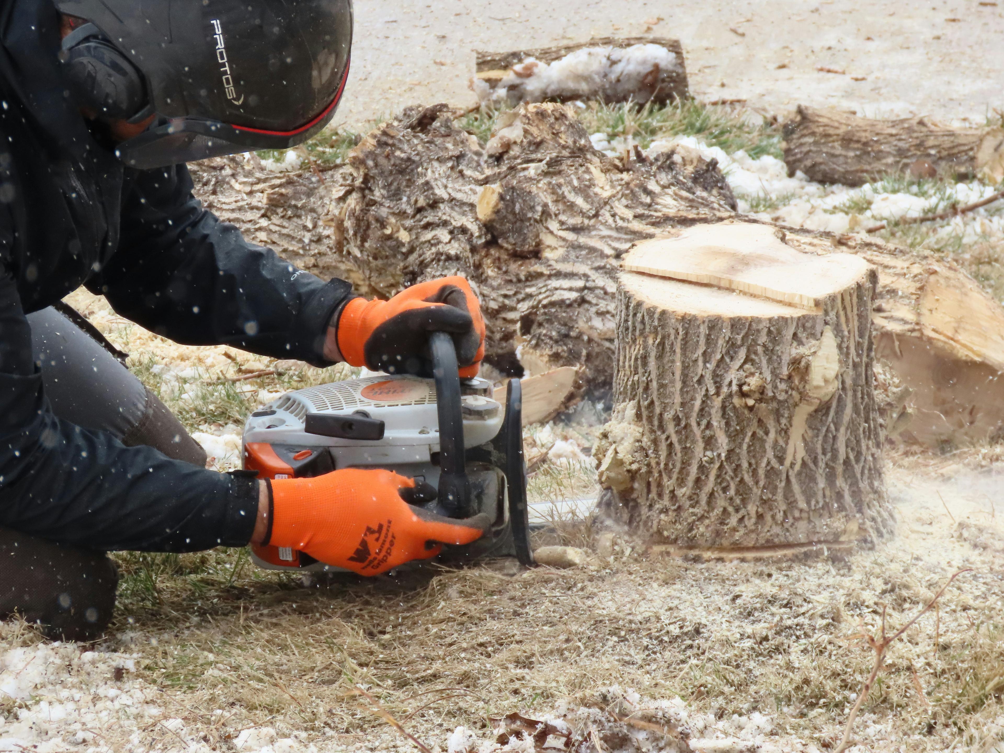 Stump Removal
